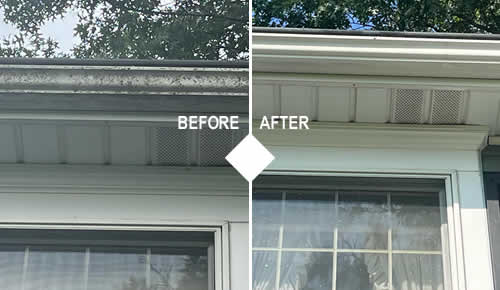 Gutter Brightening Services Michigan