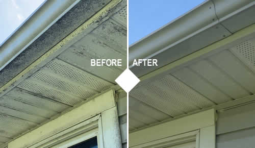 Gutter Brightening Services Michigan